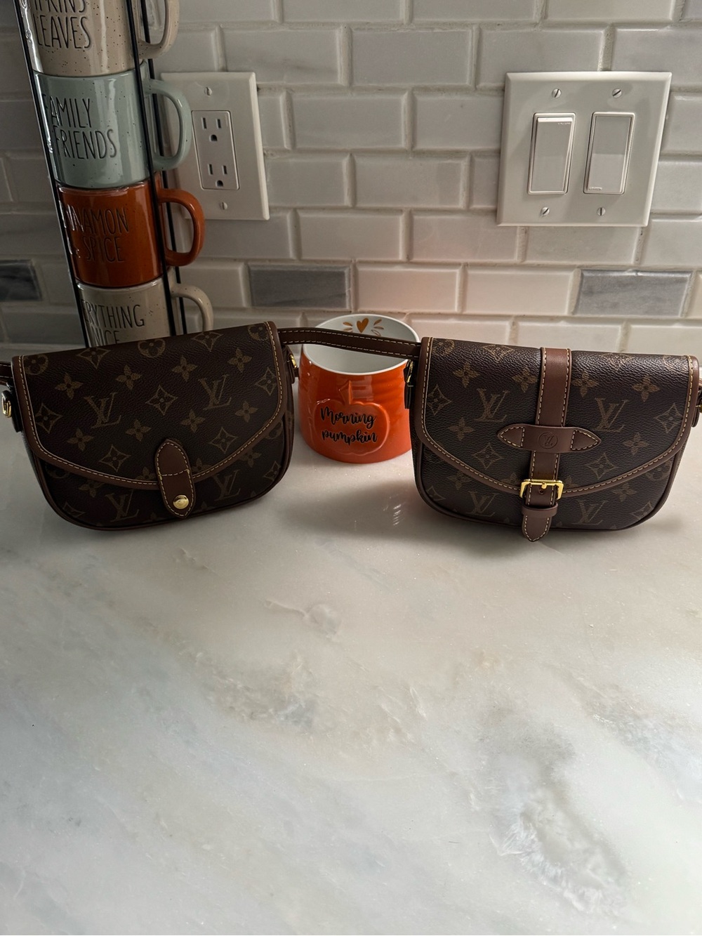 Louis Vuitton Monogram Crossbody Duo in Brown Canvas